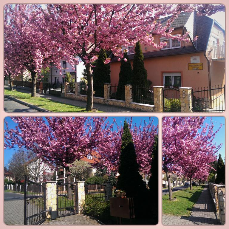Szecsenyi Apartman Hévíz 외부 사진